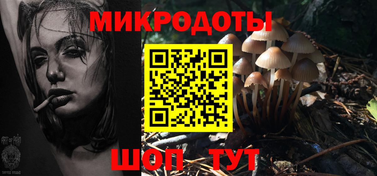 Саянск  Галлюциногенные грибы GOLDEN TEACHER  Псилоцибиновые грибы GOLDEN TEACHER  Вход с VPN 