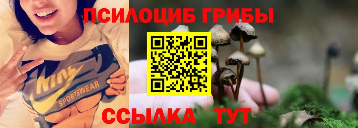 Галлюциногенные грибы ЛСД Саянск