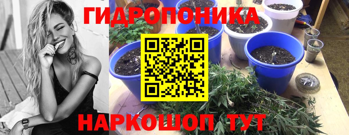 Саянск  Шишки марихуана семена  Каннабис гибрид  Вход с VPN 